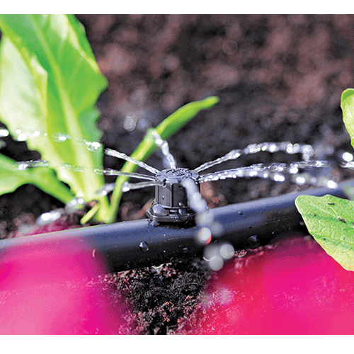 Automatic Watering